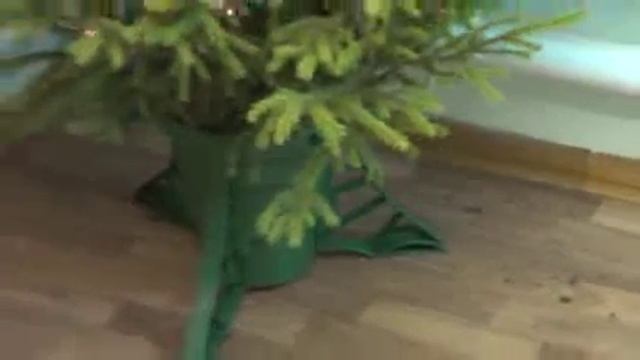 Живая елка с доставкой г.Москва