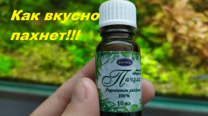 Аквариумное растение для Парфюмера. (Архив от 2.11.2021)