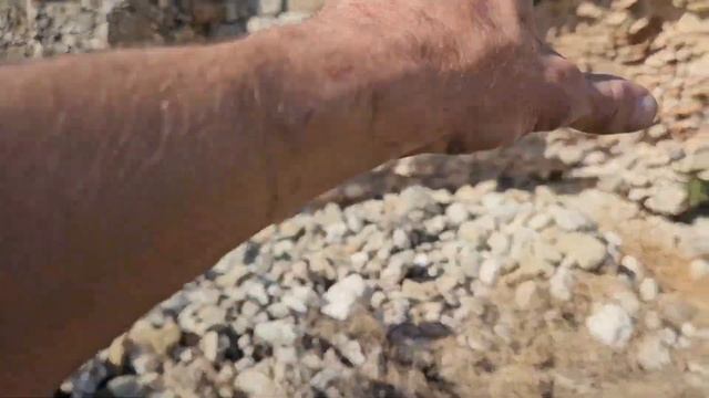 Неопознанная постройка в оливковой роще. Александрия Троадская. ч. 5. Турция #александрия