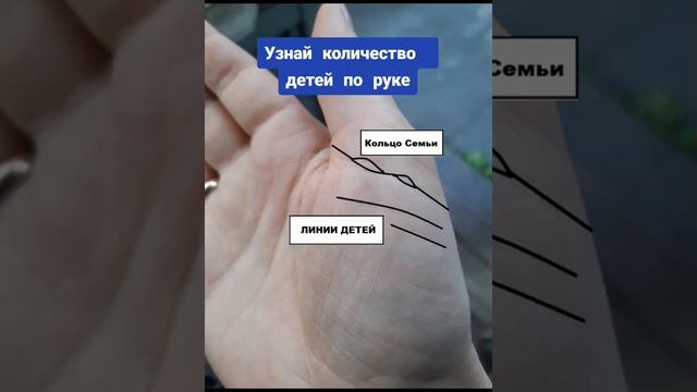 Узнай количество детей по руке смотреть онлайн