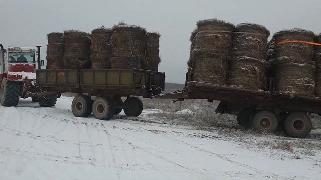 К-744!!! 3 телеги!!! 80 рулонов - за 1 рейс!!!??? смотреть онлайн