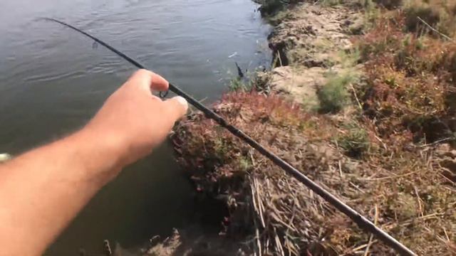 ЛОВЛЯ ЖЕРЕХА НА СПИННИНГ смотреть онлайн