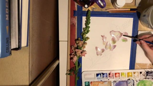 Botanical Watercolor Lesson