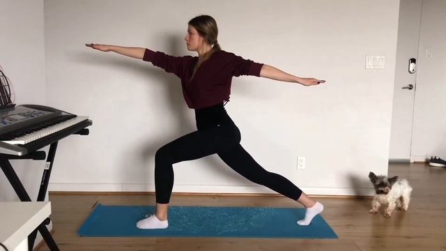 Yoga Twist: растяжка для тела со всех сторон. смотреть онлайн