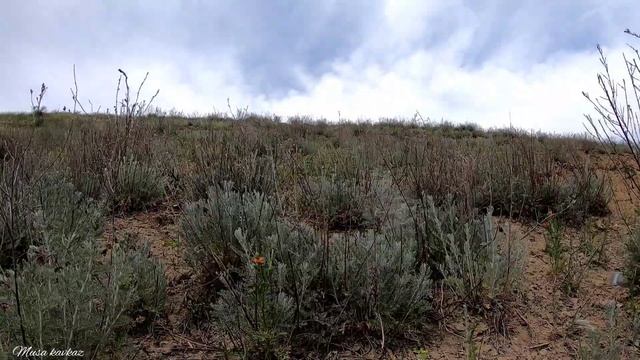 Один на Рыбалке.Усач смотреть онлайн