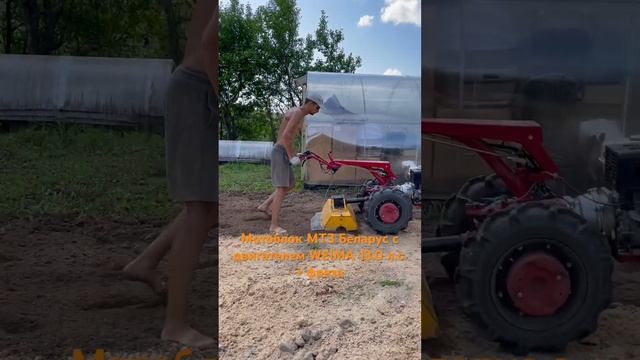 Мотоблок МТЗ Беларус 012WM c двигателем WEIMA 188F 13.0 л.с. смотреть онлайн