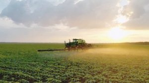 Технология  выращивания  подсолнечника  в  АО "Колос" часть I