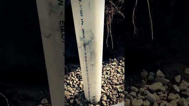 Septic Field Failure: Replacing Failing Septic Field