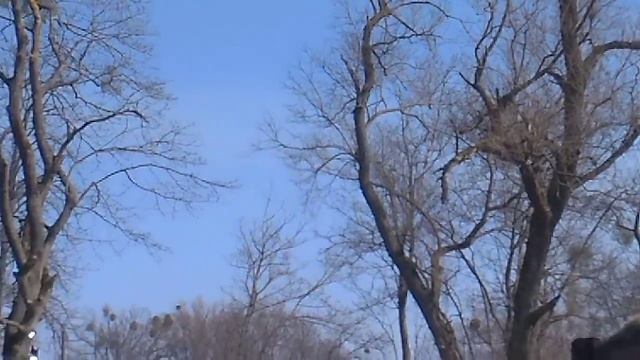 Штурм форта 11 Денхоф смотреть онлайн