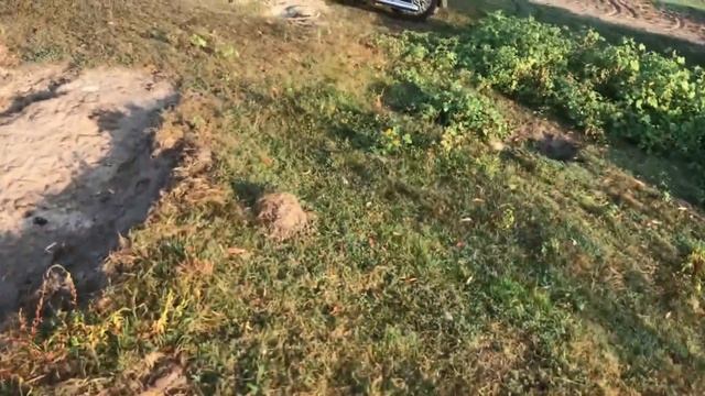 СКОЛЬКО ПОЙМАЮ РЫБЫ ЭКРАНОМ ЗА ЧАС? смотреть онлайн