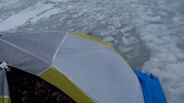 Аквариум с рыбой.Рыбалка до обеда удалась смотреть онлайн