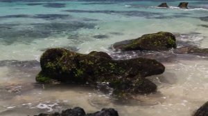 Стань свободным! ENIGMA стиль. New Age
Become free! ENIGMA style. New Age.