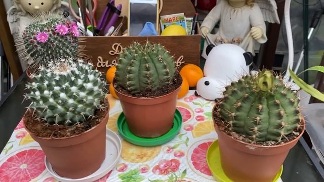 Тем временем... Первый ролик в новом году смотреть онлайн