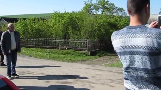 Коні Ваговози / HORSE "БОГАТИРСЬКИЙ ЖЕРЕБЕЦЬ БУЦЕФАЛ" далі буде..... смотреть онлайн