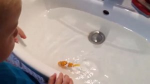 ЧУДО РЫБКИ для вашего малыша!!!! Электронная рыбка Robofish - Детки Тойс