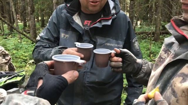 Сказки вепсского леса. авг2019г. смотреть онлайн