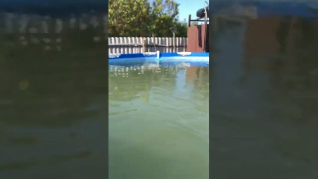 Биопаг. Мутный бассейн. Начало. 16 мая 2023г. смотреть онлайн