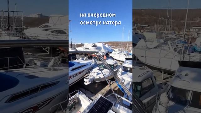 Всё о катерах и яхтах во Владивостоке. Обзоры, цены, помощь в покупке. смотреть онлайн