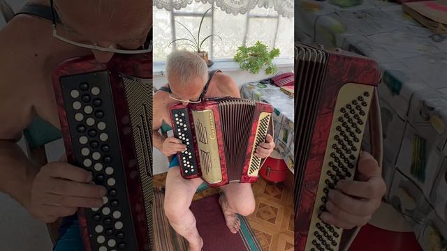 Contasina Button Accordion, 100 Bass, 3 Row, 3 Voices, Germany Bayan, Great Sound, Germany Bayan
