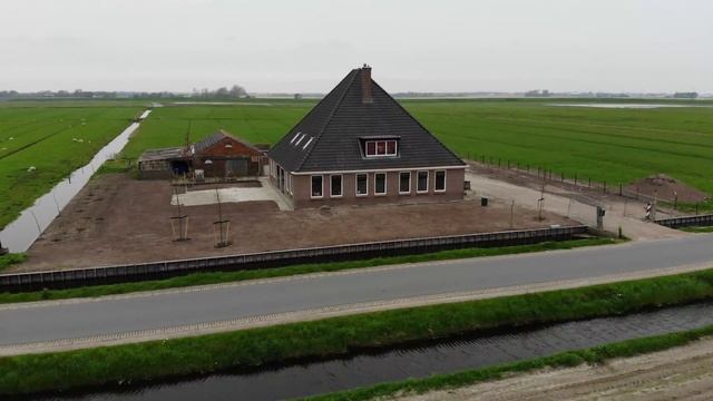 Голландия, тюльпаны: много, разные смотреть онлайн