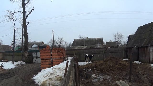 рубленое сено для коров смотреть онлайн
