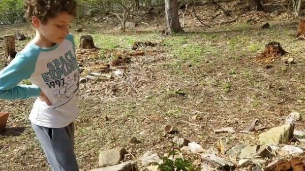 Planting Peony Renato