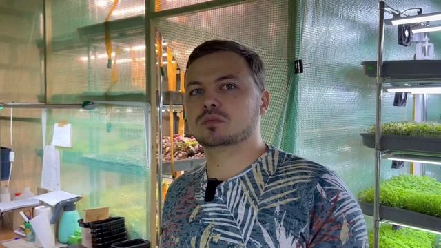 Какие расходы на Сити ферме | Себестоимость продукции | Народные Семена смотреть онлайн