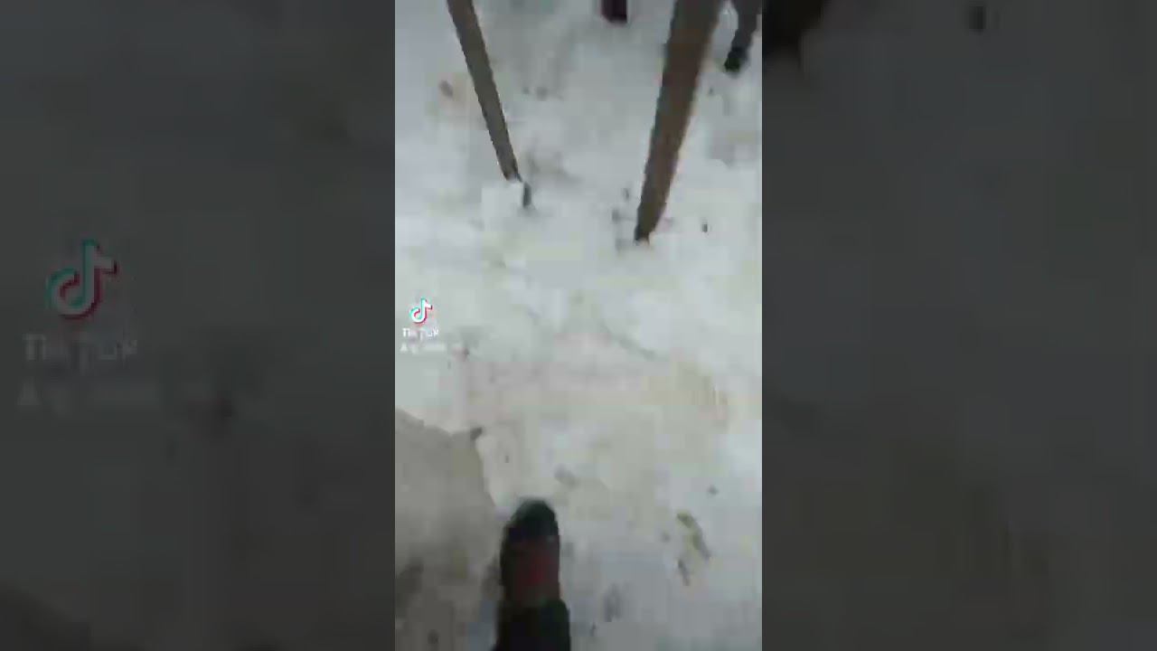 самый вкусный рецепт печени, печень по Строгоновски