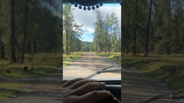 Дальнобой, дорога на усть-кокса. смотреть онлайн