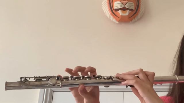 Playing 无羁 Wu Ji The Untamed on my flute cover смотреть онлайн