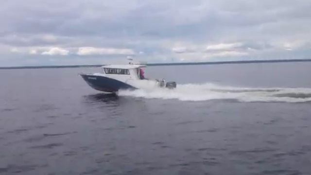 Катер Касатка 9 метров смотреть онлайн