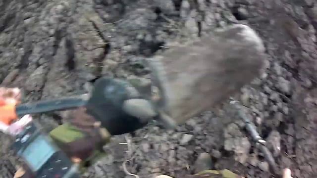 XP Deus2?Дэус2?коп как есть,проба 6 программы ,4 программы