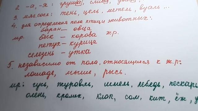 Отларнинг 3та роди.Род имен существительных. 4-дарс смотреть онлайн