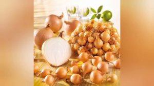 КАК ВЫБРАТЬ ЛУК СЕВОК ДЛЯ ПОСАДКИ