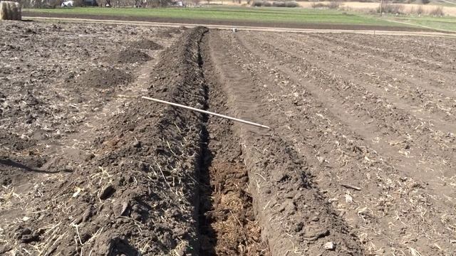 Траншейная грядка. смотреть онлайн