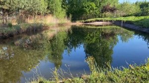 Что можно сделать за 24 часа с прудом!? Идеальный пруд на участке своими руками.