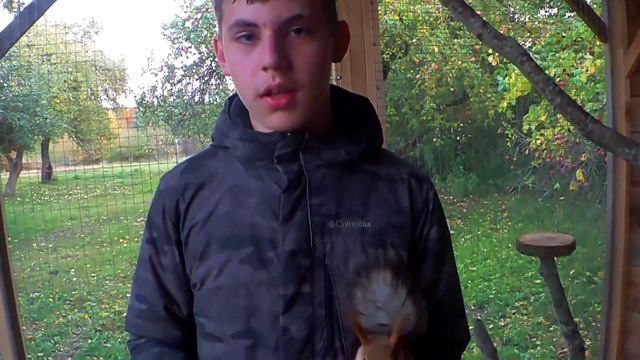 Переселение белки Фишки. Вольер готов! смотреть онлайн
