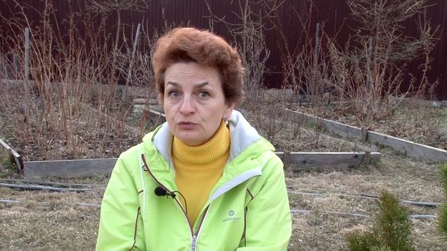 Выбираем сорта редиса для посева в апреле смотреть онлайн