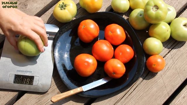 ДАЧНИК! ОБЗОР СОРТОВ ТОМАТОВ! Советы от ЗЕЛЕНОГО ОГОРОДА! смотреть онлайн