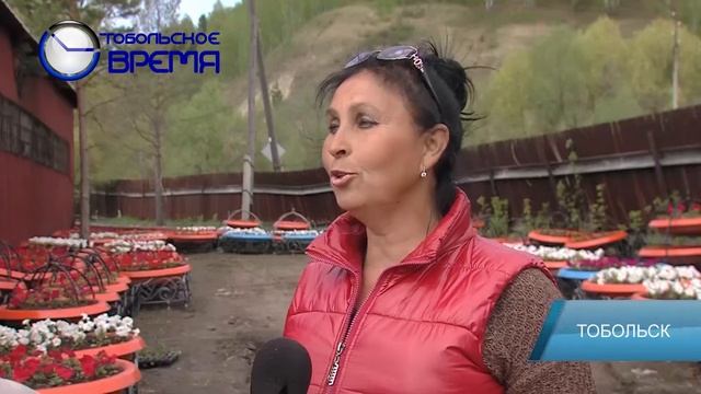 ГОРОДСКИЕ ЦВЕТЫ смотреть онлайн
