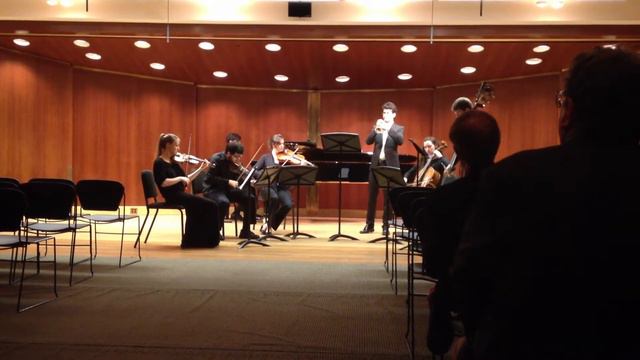 Torelli A5 Sonata смотреть онлайн