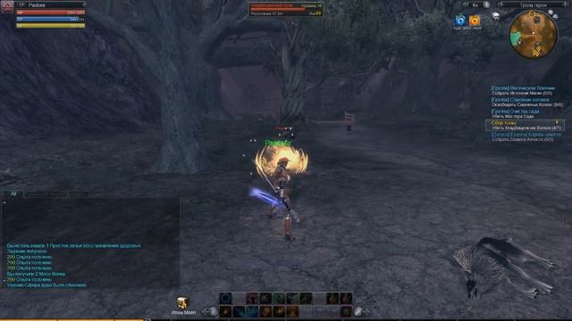 Raiderz Маг поджигатель против волков смотреть онлайн