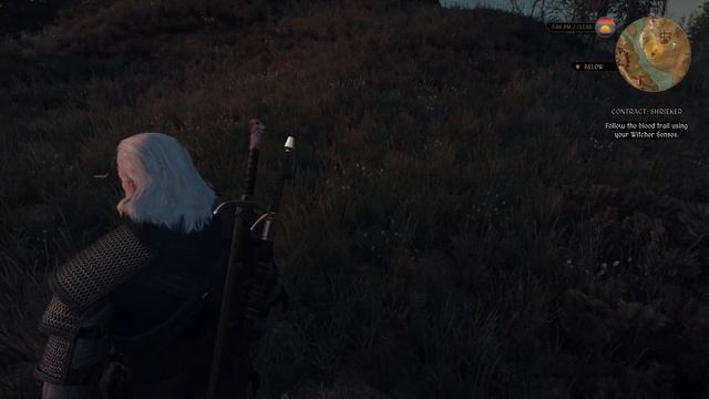 The Witcher 3 - Heavily Modded Walkthrough - No Commentary - Contract: Shrieker (Part 16) смотреть онлайн