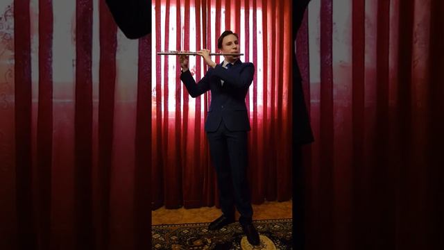 Ефимов Даниил, 7 класс. В.А. Моцарт "Анданте". смотреть онлайн