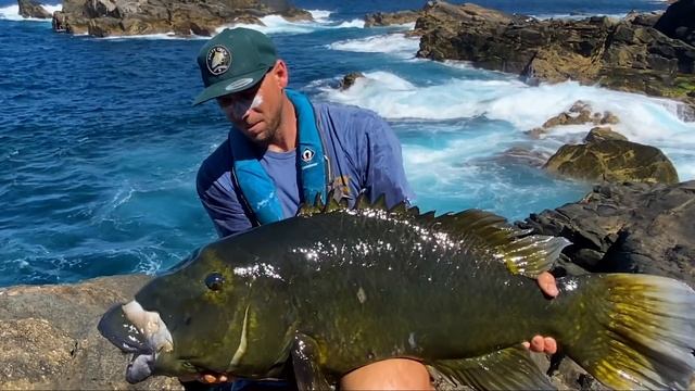 SOLO ISLAND LIFE Day 2 смотреть онлайн