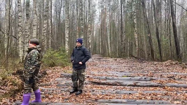 Экскурсионный маршрут «В леса» смотреть онлайн