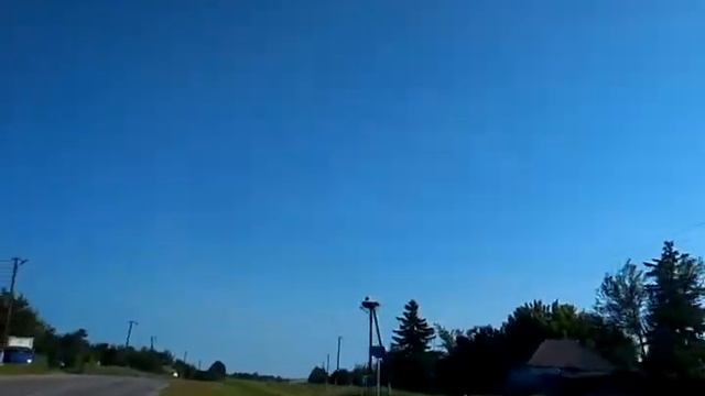 Село Зинове - место, где живут аисты.