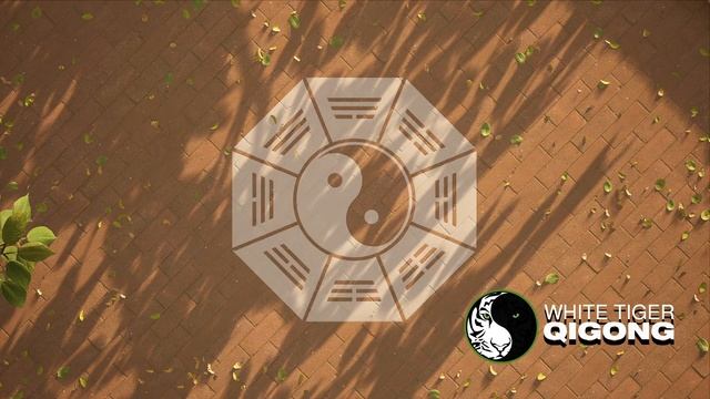 8 Trigram Qigong Master Course And Teacher Training