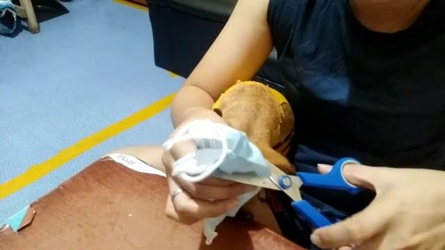 DIY Diaper for Dogs | Reyann TV смотреть онлайн