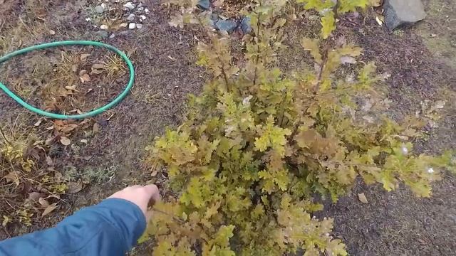 КЕКСЫ С ВАРЕНЬЕМ! 11-13.10.21 смотреть онлайн